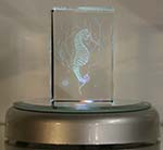 Small Seahorse Crystal